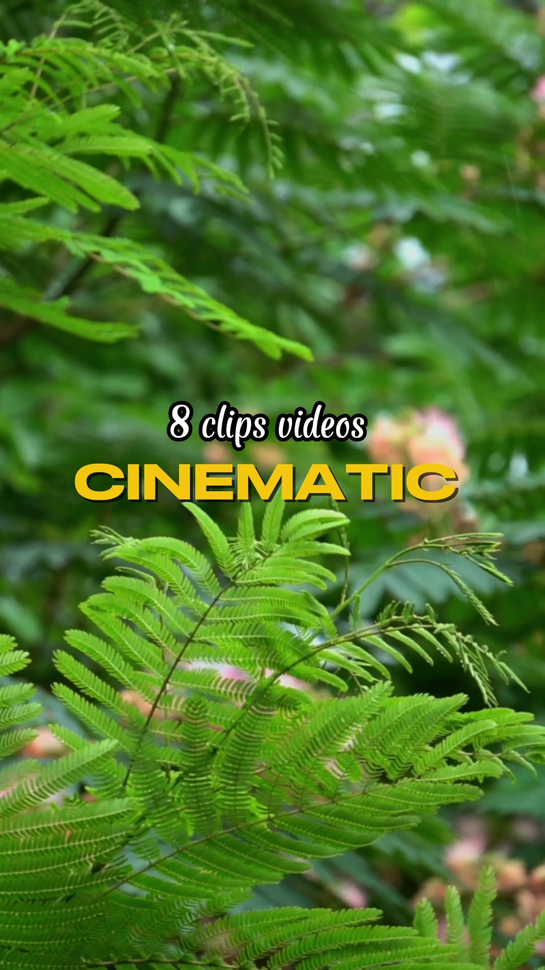 8 klip sinematik 