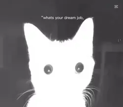 Dream job