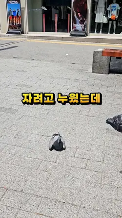 자려고 누웠는데