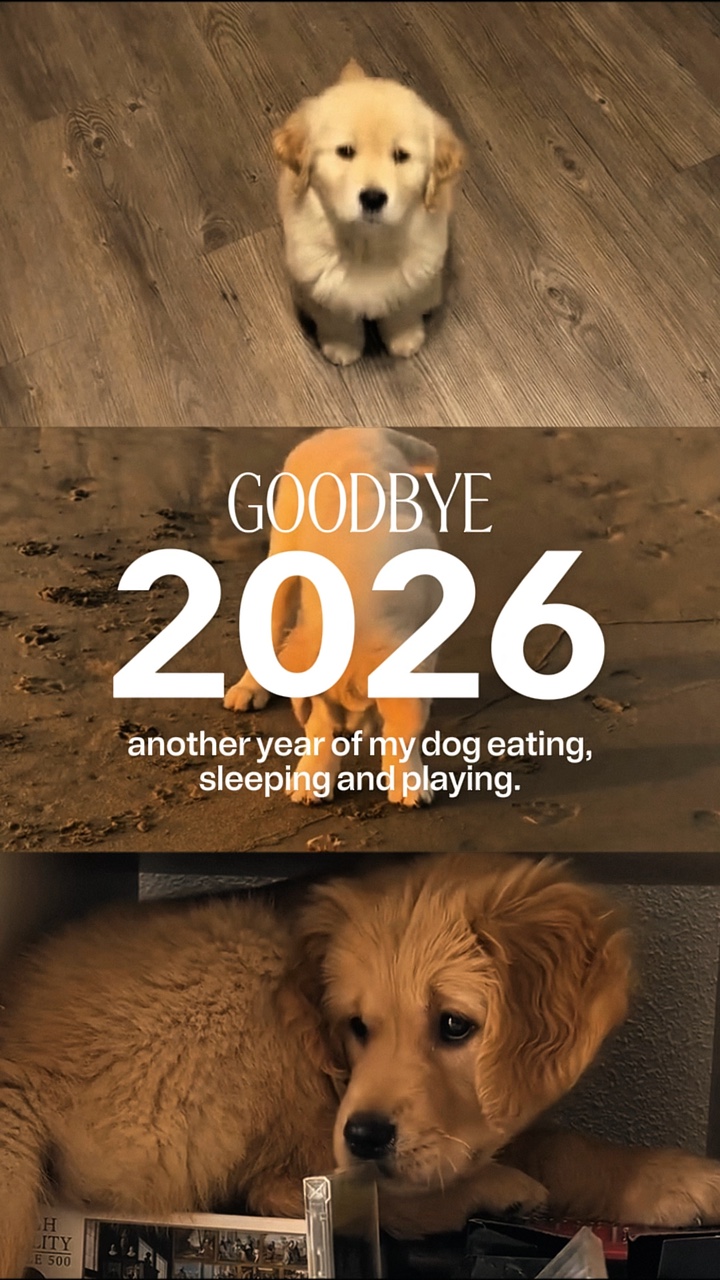 Goodbye 2026