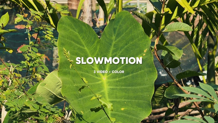 Slow 3 video Cinema