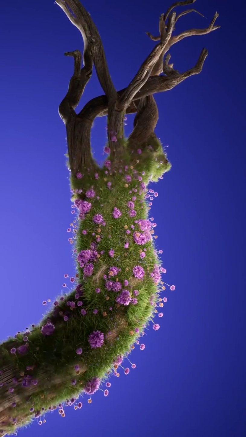 growing plants