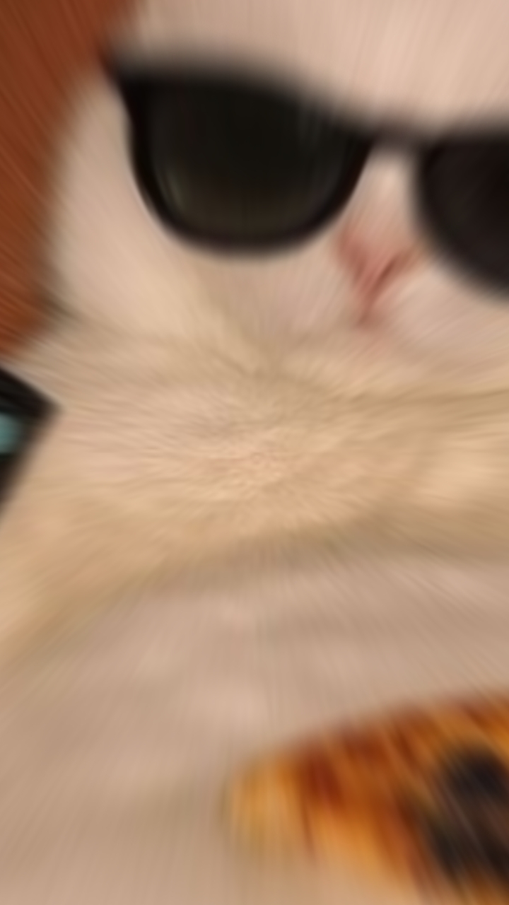 kedi şablonu 