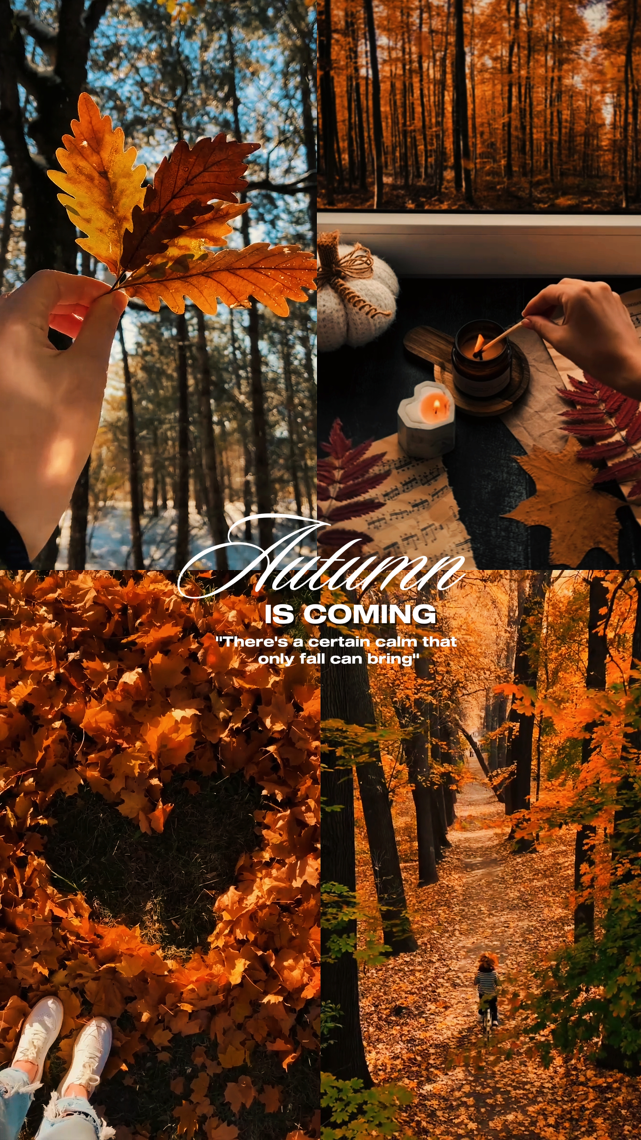 Autumn Vibes
