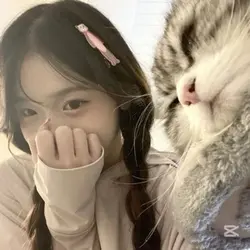 Durdurma oyunuu 