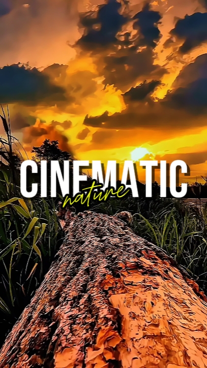 CINEMATIC NATURE