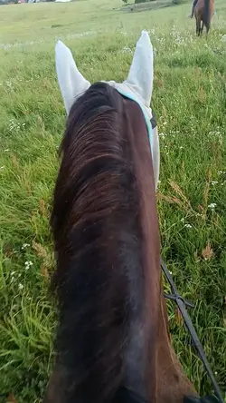 byłam w terenie