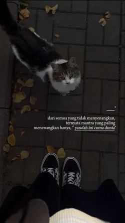 quotes story