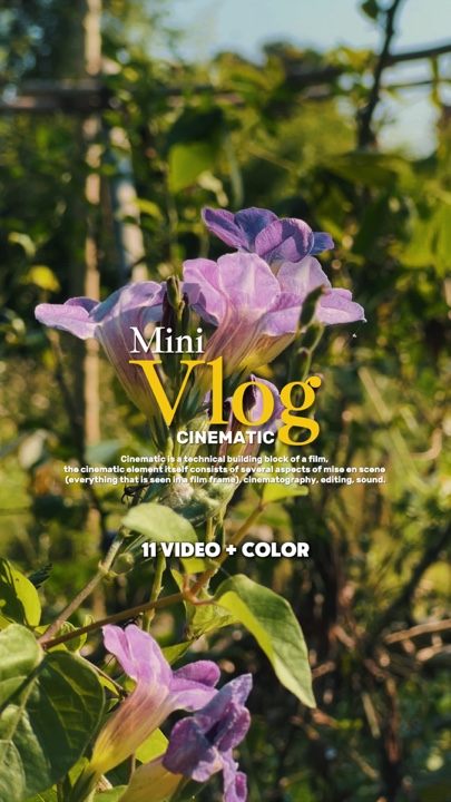 Vlog Sinematik