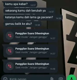 ss chat mania