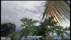 pilihan hatiku 16:9