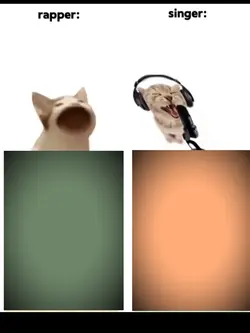 meme
