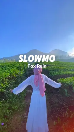 Slowmo Fox Rain