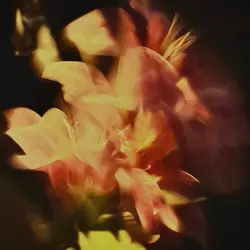 aesthetic