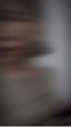 Hồng Tỷ