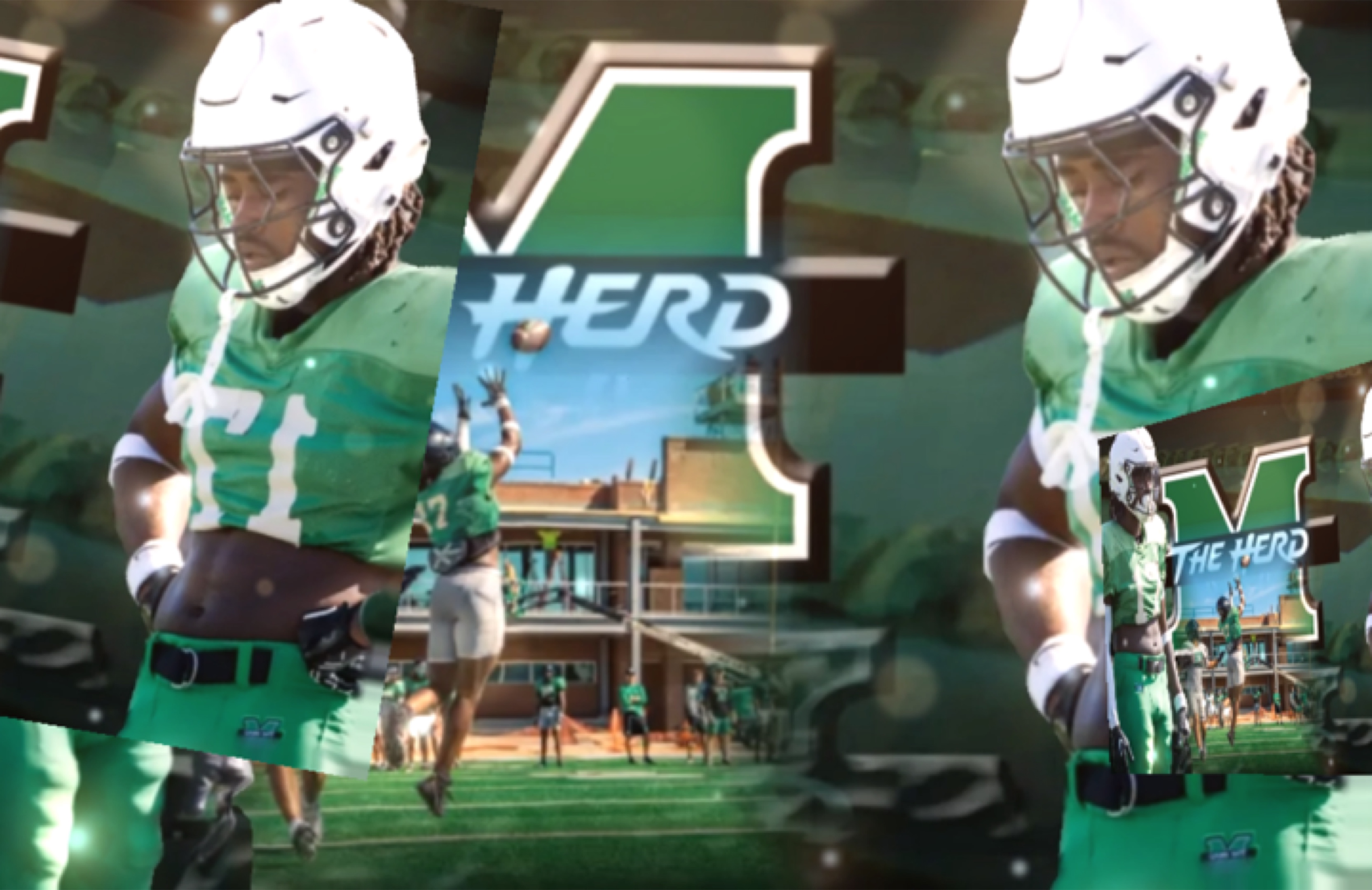 The Herd