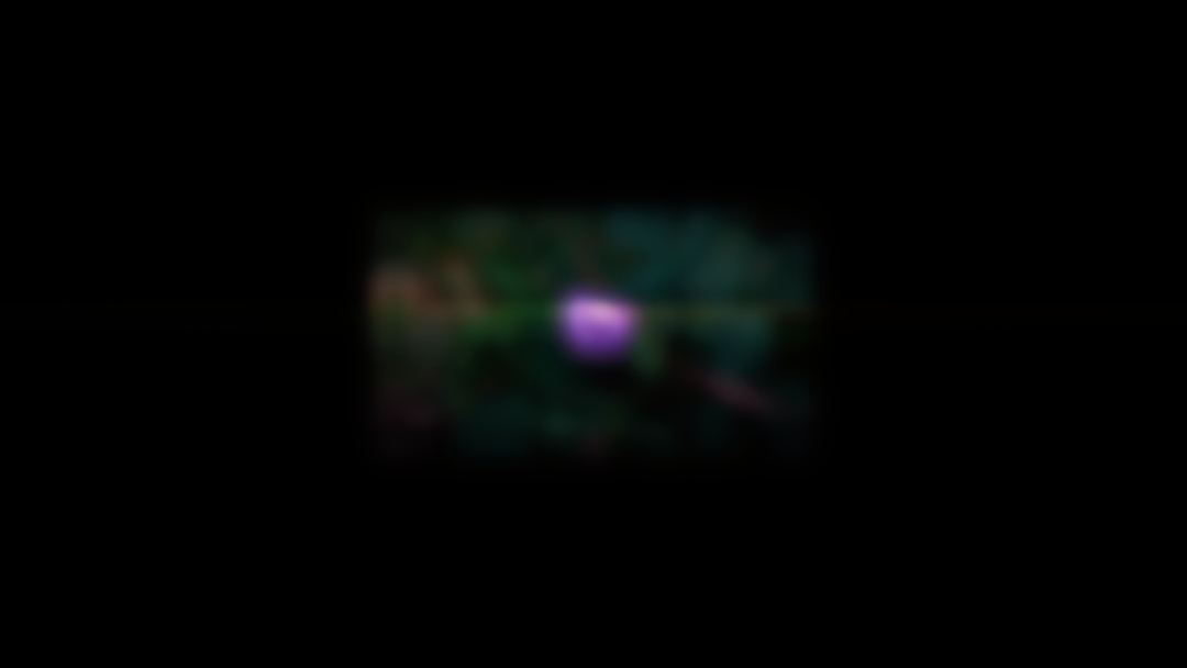 11 clip aesthetic