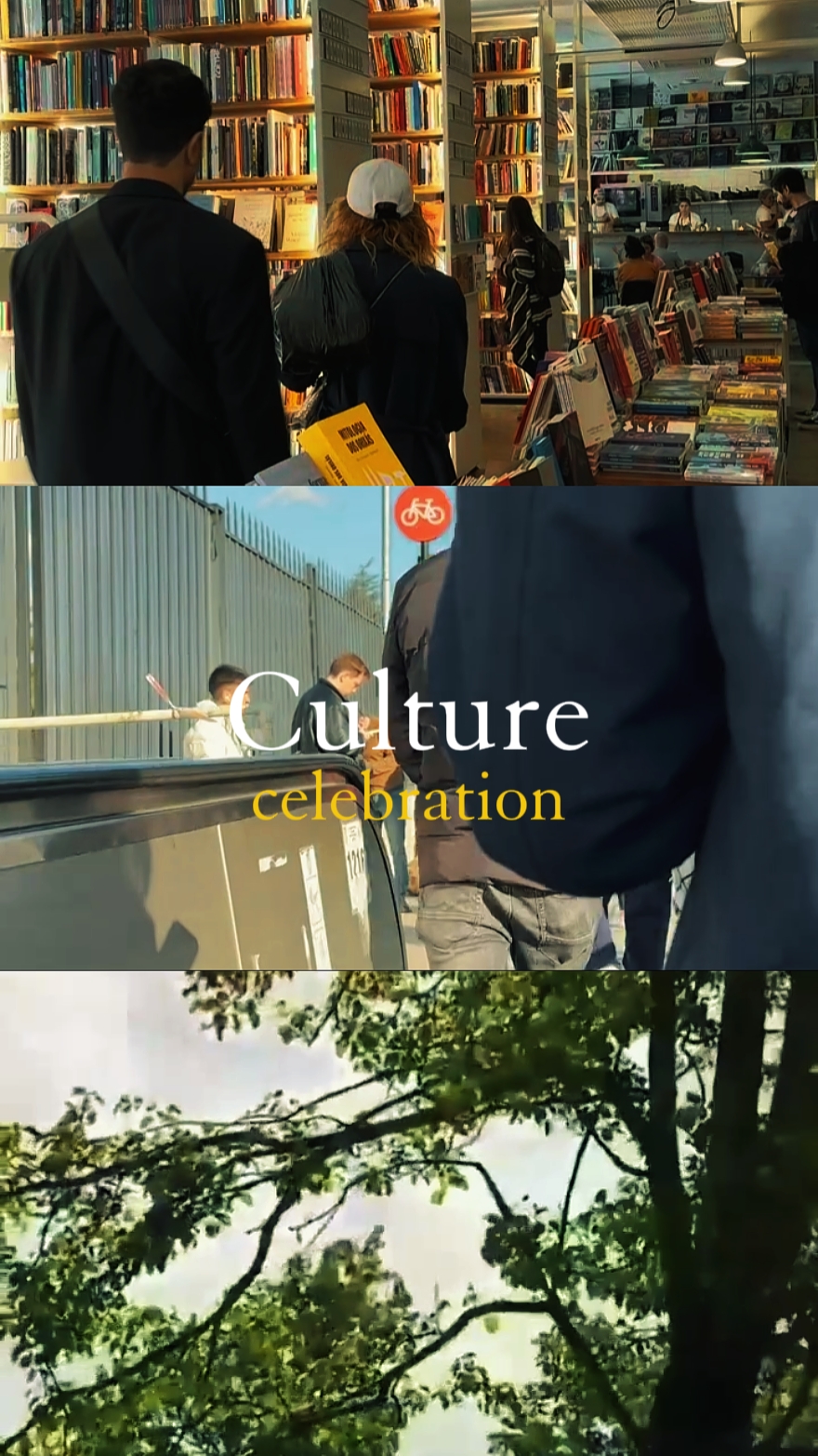 CELEBRACIÓN DE LA CULTURA
