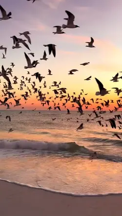 yeni şablon geldi