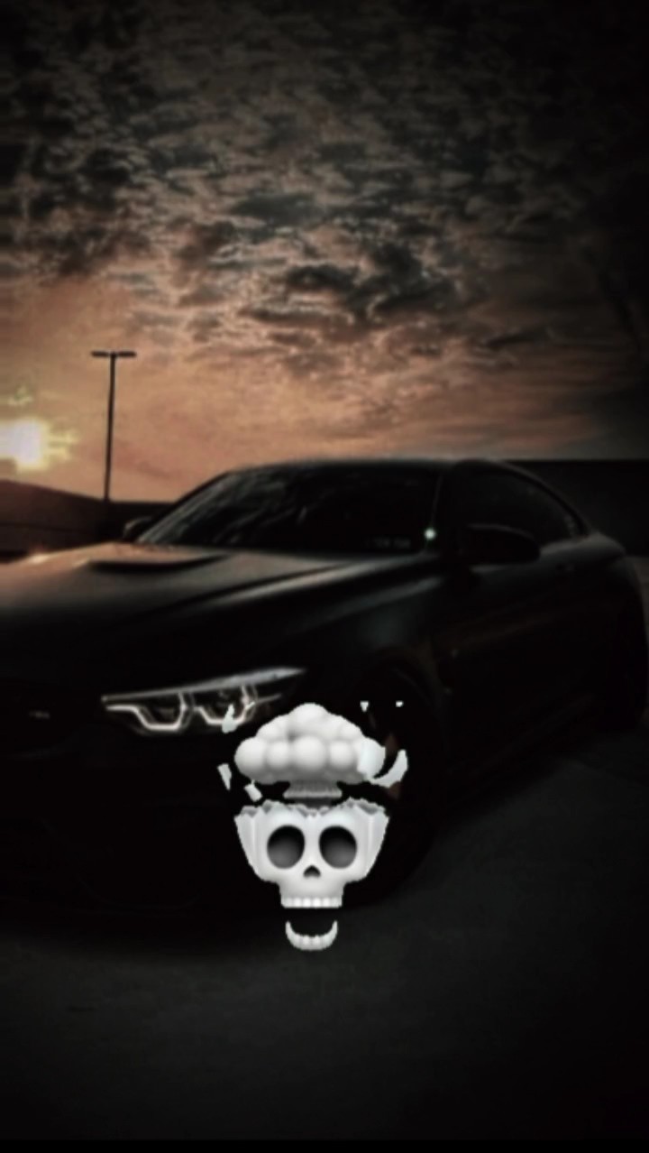 skull edit