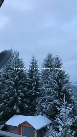feeling the winter