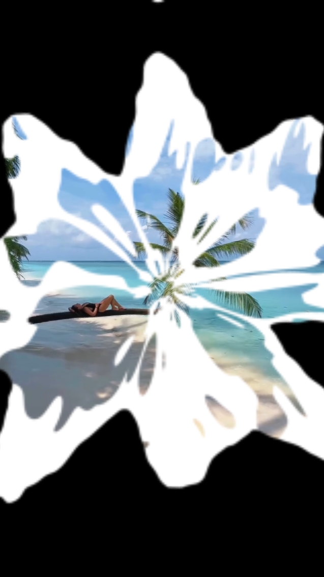 Vlog de voyage