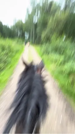 Slowmooo 💞