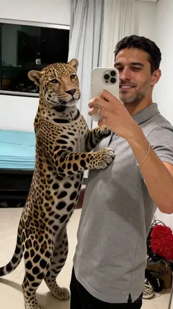 Meme da Onça kkkkkkk