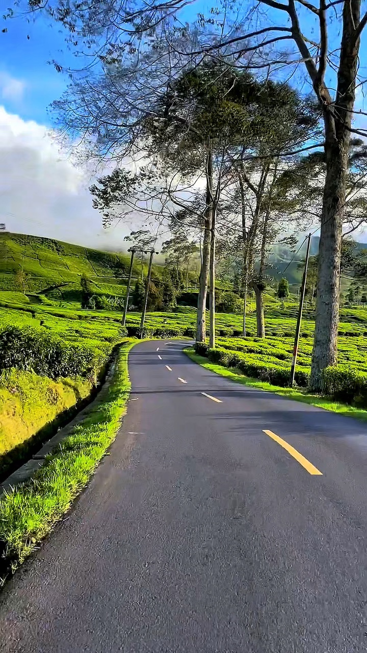 3 video klip HD 