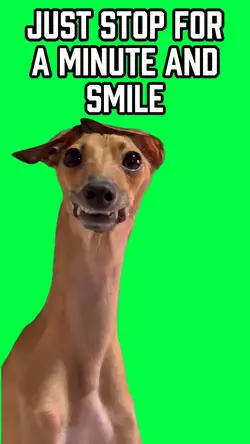 STOP AND SMILE