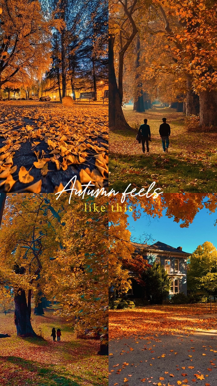 Autumn feels