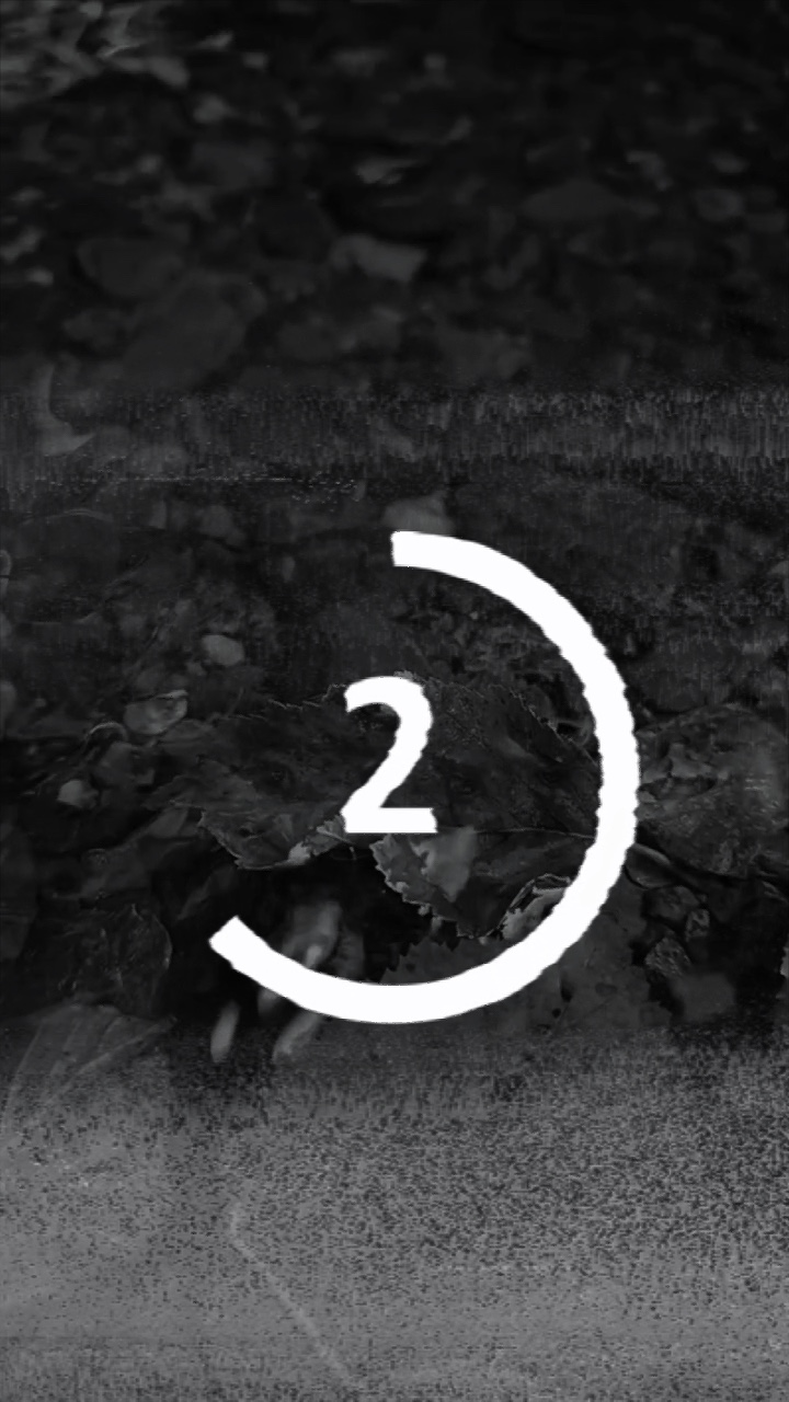 Aesthetic 6 video