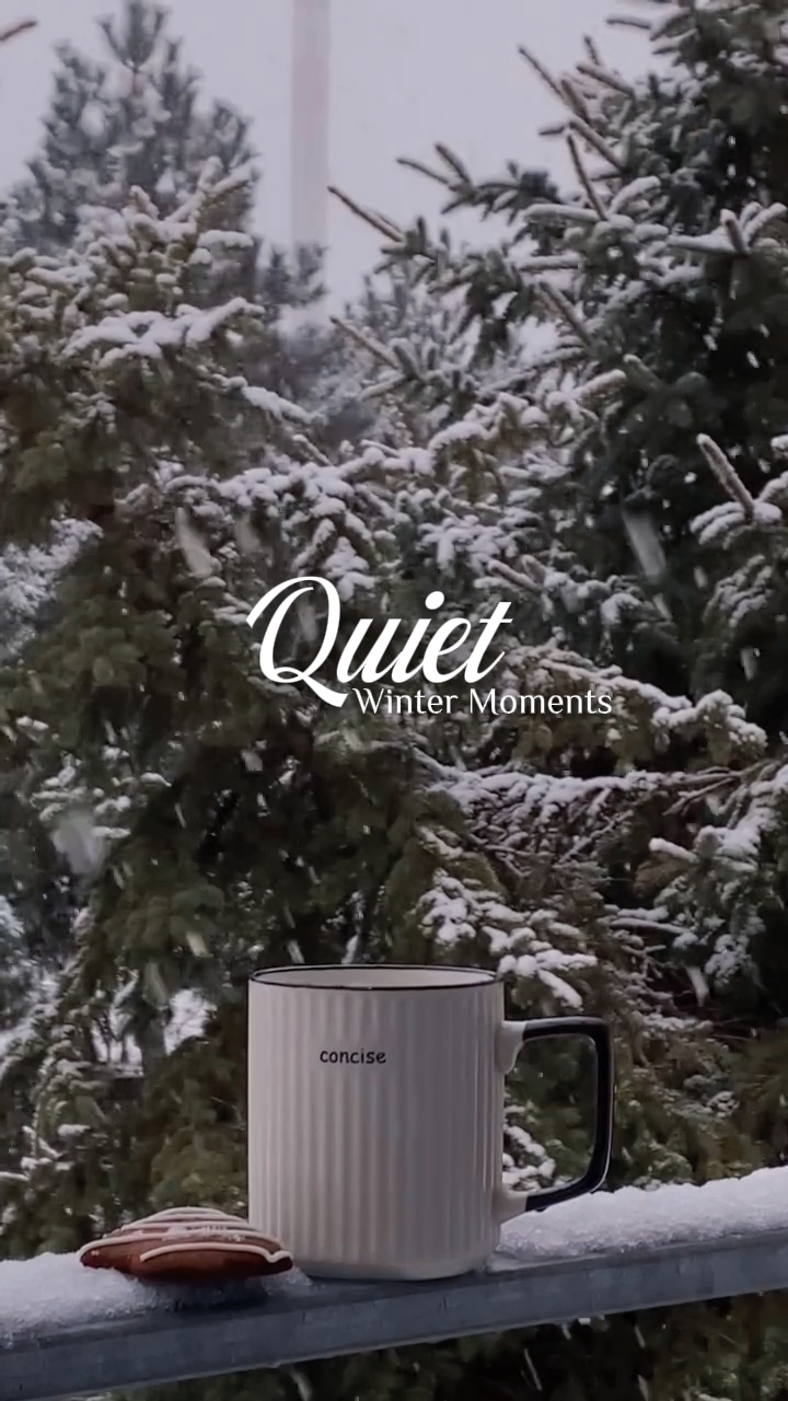 Momentos Silenciosos de Inverno
