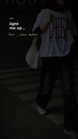 hero alan walker