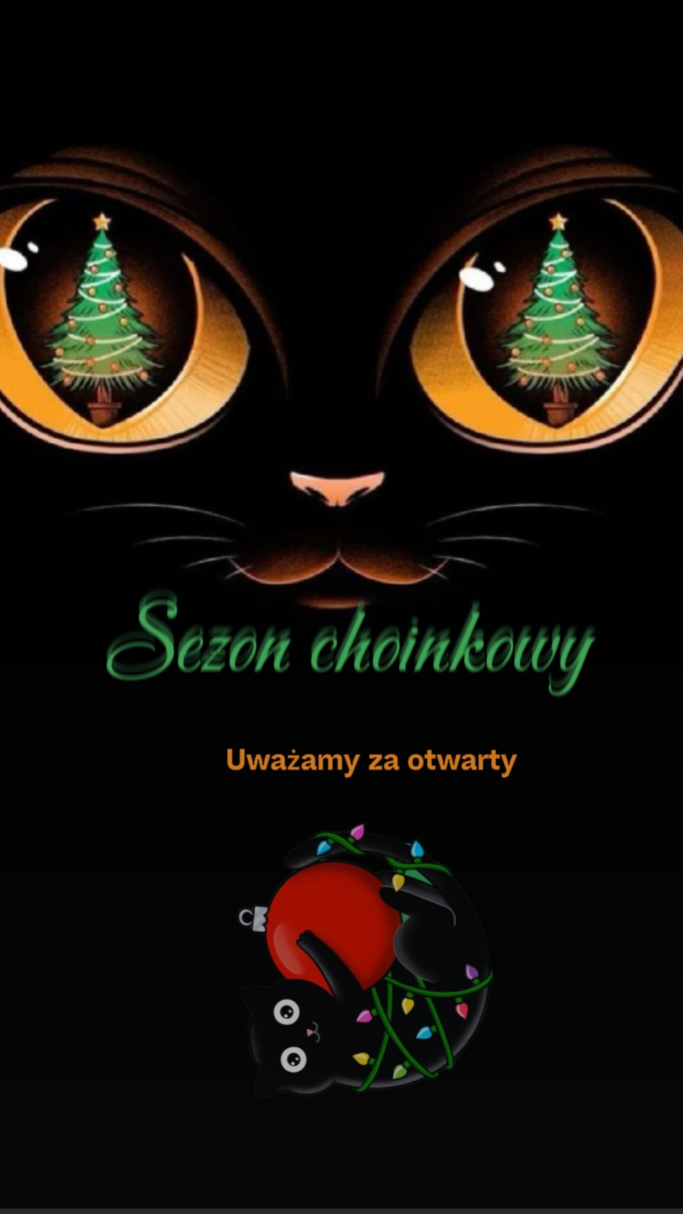 Navidad de gato