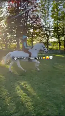 Equestrian summer😛AI