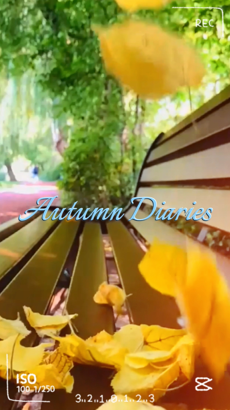 Autumn Diaries