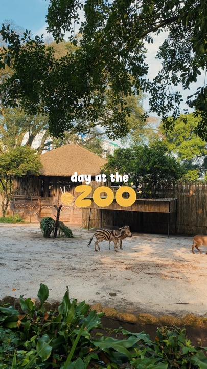 Día en el zoológico