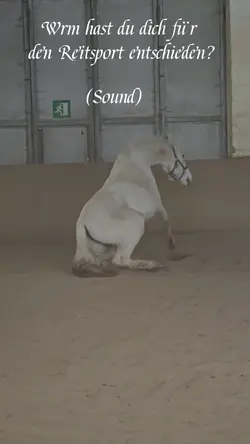Reitsport