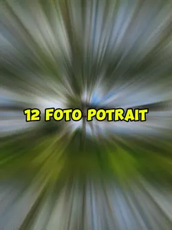 12 foto potrait