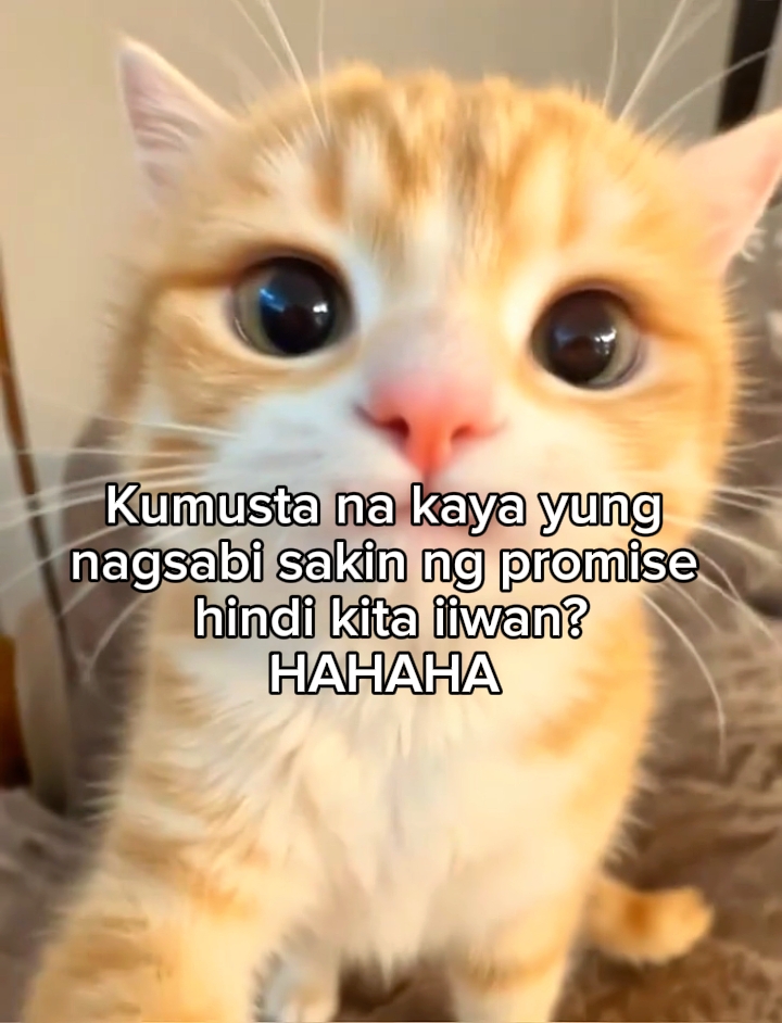 Kumusta na kaya? 