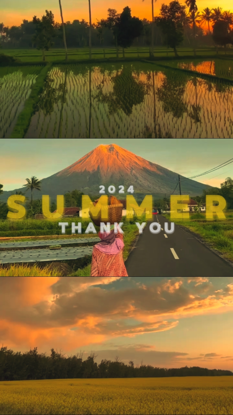 Thank you, summer