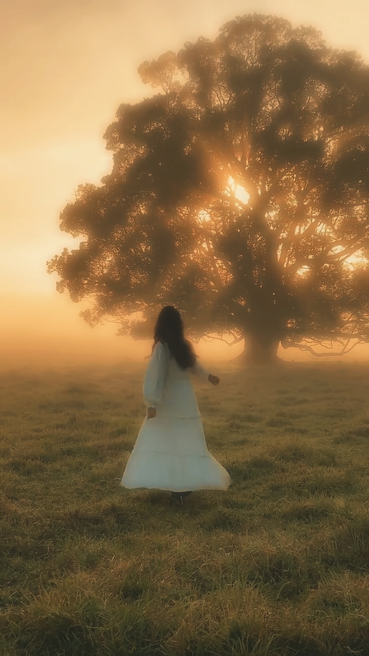 dreamy vid