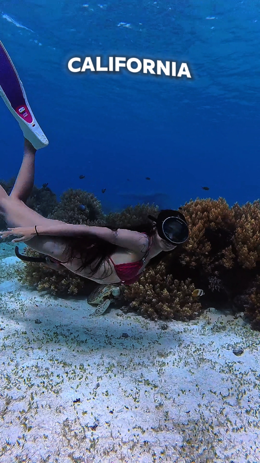 ToscreamUnderwater