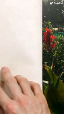 Peaceful garden