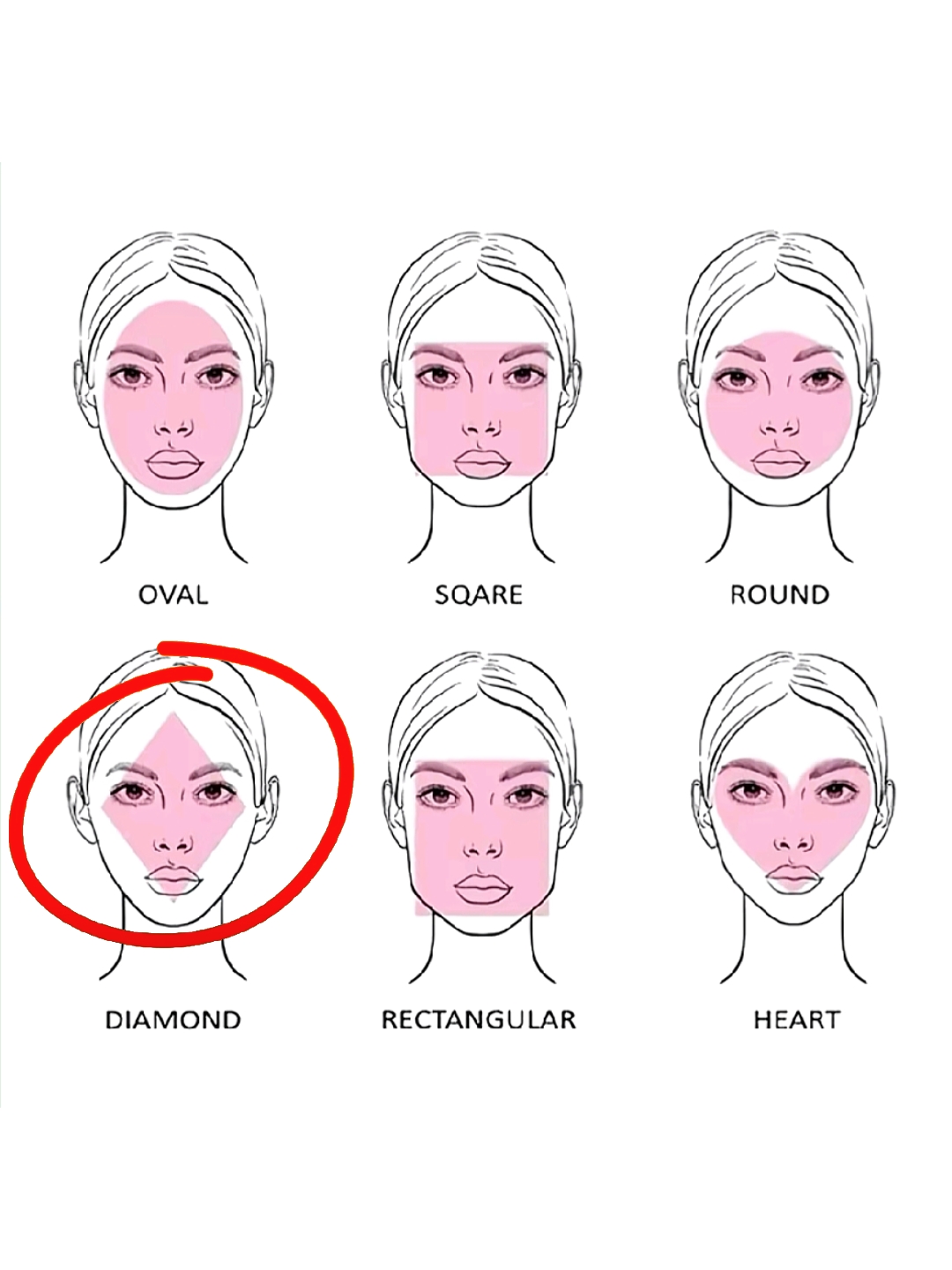 Forme du visage