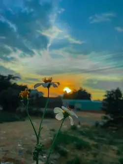 နေဝင်ချိန်