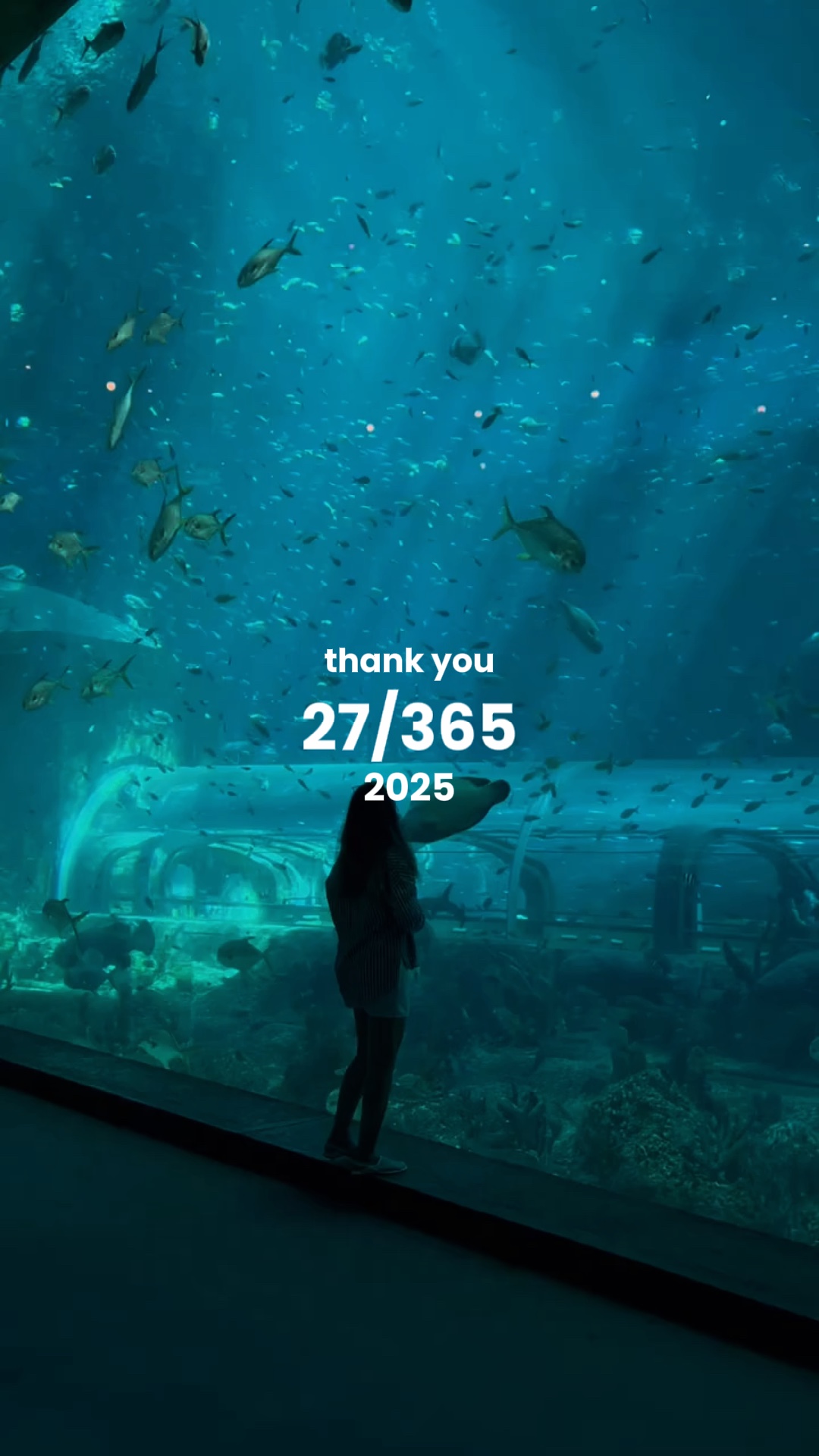 Gracias 2025
