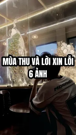 MTVLXL [6]