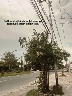 balik arahh